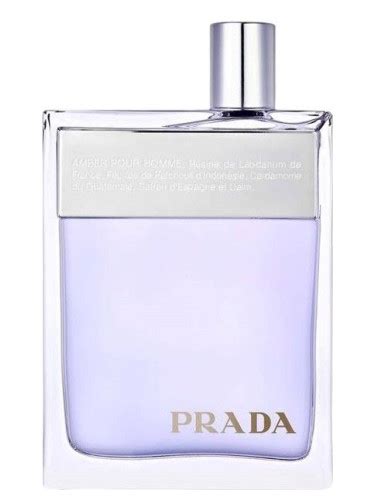 prada amber david jones|prada man orange.